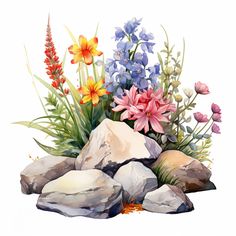 a painting of flowers and rocks on a white background with watercolor paint effect in the foreground