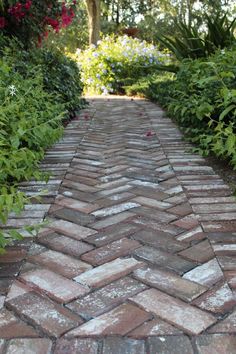 an image of a brick path in the woods