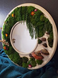 a white plate topped with lots of green plants and rocks on top of a blue blanket