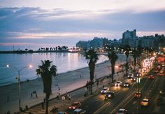 cars are driving on the beach at night near the water and palm trees in the foreground