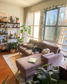 A boho style living room with a lot of plants and a dog laying on a velvet sofa Apartment Art Ideas, Apartment Deco, Apartment Aesthetic, Apartment Decor Inspiration, Wallpaper Decor, Remodel Bedroom, Living Room Decor Apartment, Living Room Inspo