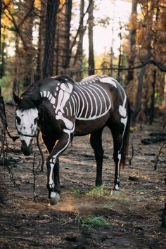 a horse with skeleton painted on it's face standing in the middle of a forest