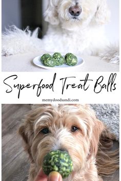 there is a dog that has some food in it's mouth and the words superfood treat balls above it