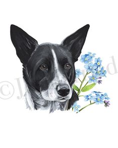 a black and white dog with blue flowers