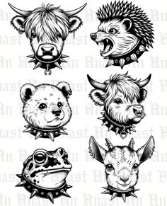 four different types of animal heads on a white background