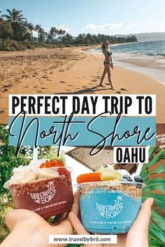 the perfect day trip to north shore oahu