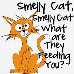 an orange cat with the words smelly cat, smellly cat what are they feeding you?