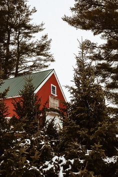 a red house surrounded by pine trees in the snow with a green roof and window