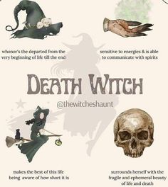 a poster with different types of witches and their names on it's front cover