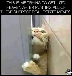 a cat peeking out from behind a door with the caption, this is me trying to get into heaven after posting all of these suspect real estate memes