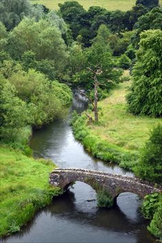 a bridge over a river surrounded by lush green trees