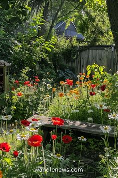 a garden filled with lots of flowers next to a wooden bench in the middle of it