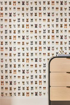 the wallpaper has many cats on it and is next to a chest of drawers