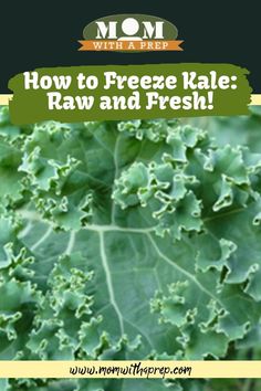 an image of Raw and Fresh Kale How To Freeze Kale, Kale Kale, Freezing Kale, Food Prep Storage, Frozen Veggies, Preserving Food, The Taste, Superfoods, Kale