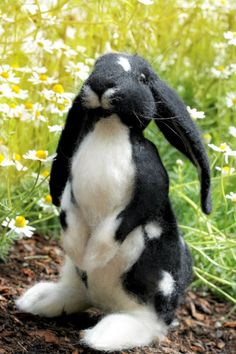 a black and white stuffed rabbit sitting on the ground in front of some daisies