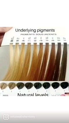 Julie Kleine | Hair Color Education 💜 on Instagram: "Why soooo many different versions of contributing pigment charts!?!..no wonder it's hard for stylists to grasp those lightened pigments 🤦‍♀️🤣 The reality is, it's hard to have ONE universal chart to express what all levels and hair types will look like when going thru the lifting process... There are two basic melanins that create all the nautral hair colors we see, but the amount and ratio of each melanin in a head of hair will be differen Underlying Pigment Chart, Highlights Tutorial, Hair Color Wheel, Lighten Hair Naturally, Highlight Tutorial, Redken Hair Products, How To Lighten Hair