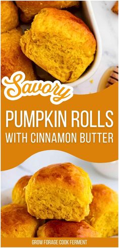 Enjoy savory pumpkin rolls with cinnamon butter, a delicious side for your holiday table. These soft rolls made with pumpkin puree are perfect for Thanksgiving or Christmas, and the sweet cinnamon butter adds a delightful touch. Find more dinner rolls recipe, bread rolls, yeast bread, and Thanksgiving Sides at growforagecookferment.com.