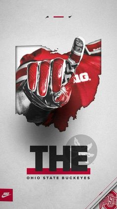 the ohio state buckeyes football team poster