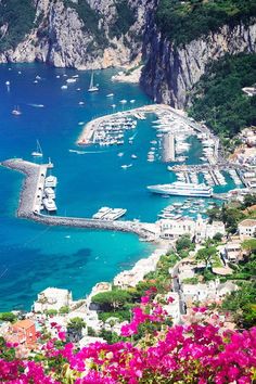 boats are docked in the blue water next to some mountains and cliffs with pink flowers