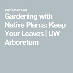 the words gardening with native plants keep your leaves uw arboreum