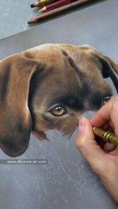 a drawing of a dog's head being held by a person with a pen