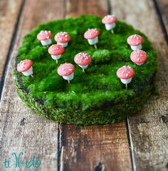 small pink mushrooms sitting on top of green moss