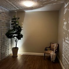 an empty room with a chair and a potted plant