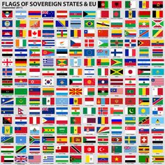 the flags of sovereign states are shown in this poster