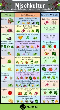 a poster showing different types of fruits and vegetables