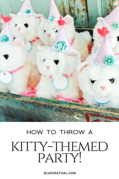 several stuffed animals with party hats on and the words how to throw a kitty - themed party