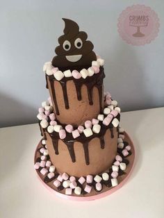 a three tiered cake with chocolate icing and marshmallows on top