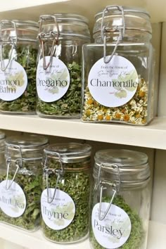 jars filled with different types of herbs on shelves