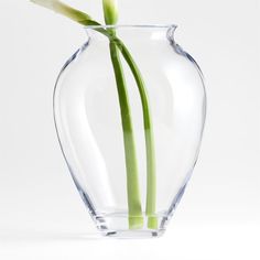 a single flower in a clear vase on a white background with no one around it