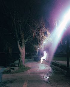 a person sitting on a bench at night with their dog in the street next to them