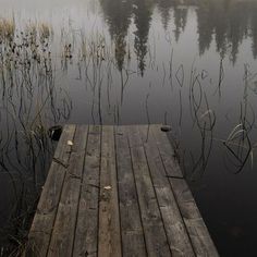 a wooden dock sitting in the middle of a lake next to tall grass and reeds