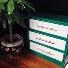 a potted plant sitting next to a green and white chest of drawers on a wooden floor