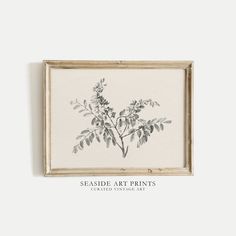 a framed art print with leaves on it