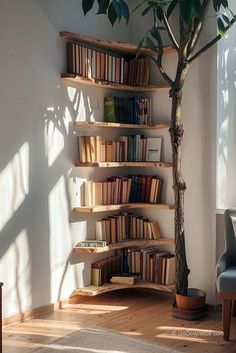 a tree in the corner of a room next to a book shelf filled with books