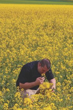 a man kneeling down in a field of yellow flowers