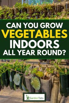 an advertisement for garden tubs that says can you grow vegetables indoors all year round?