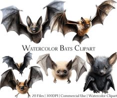 several bats with different colors and sizes are shown in this graphic art work, including the bat