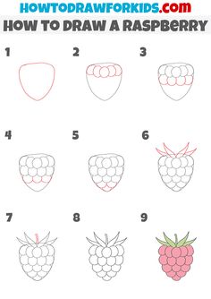 how to draw a raspberry for kids with easy steps and instructions on how to draw