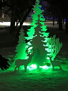 a lit up christmas tree in the middle of a park at night with deer around it