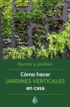 the cover of a book with green plants growing on it and text that reads como hacer jardines verticales en casa