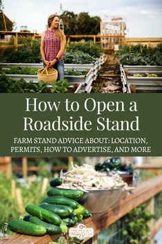 the cover of how to open a roadside stand farm stand advice about location, ferments, how to advertise, and more