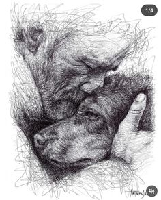 a black and white drawing of a dog sleeping on top of someone's hand