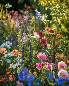 a garden filled with lots of colorful flowers