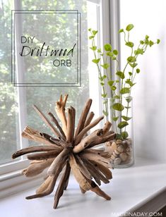 driftwood orb in front of a window