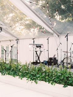 an outdoor venue with plants and lights