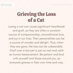 Losing My Cat Quotes, Quotes About Loosing Your Cat, Losing Your Pet Quotes Cats, Poetry About Losing A Pet, Cat Passing Quotes, Quotes About Losing A Cat, Losing Pets Quotes Cat, Losing Cat Quotes, Griefing Your Pet Quotes Cat